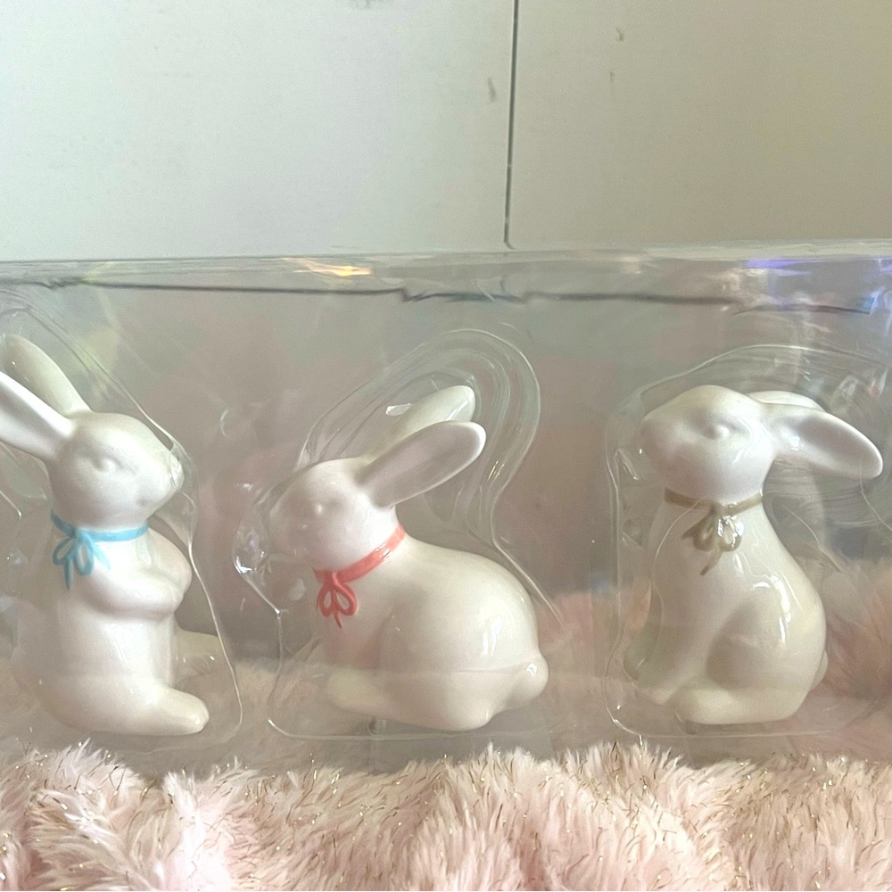 Target ~ set of 3 ceramic Bunnies